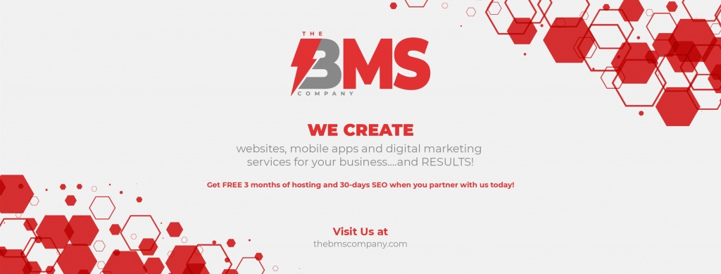The BMS Company