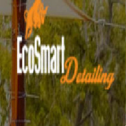 EcoSmart Detailing LLC