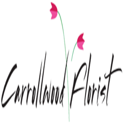 Carrollwood Florist