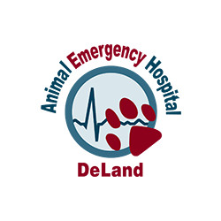 Animal Emergency Hospital DeLand