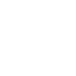 The Padded Wagon of New York