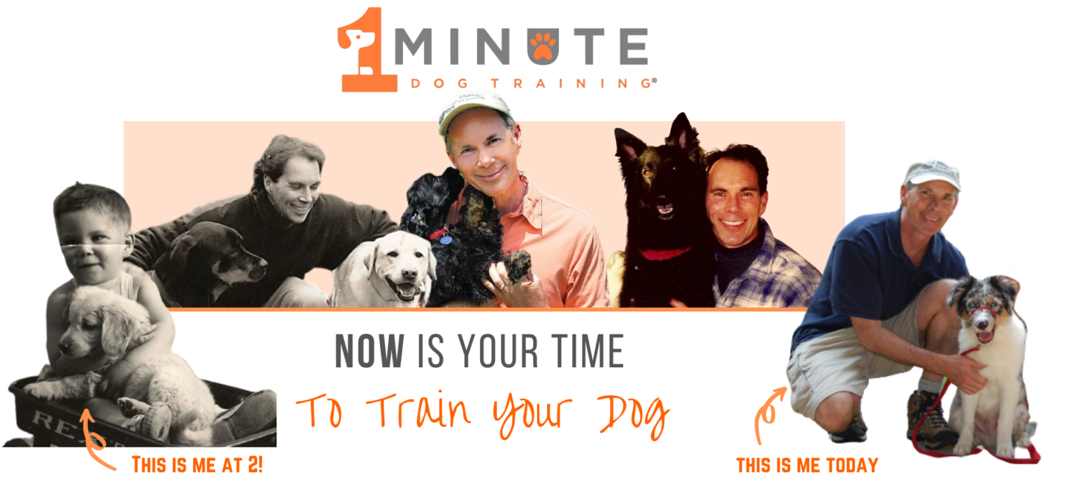 1 Minute Dog Training