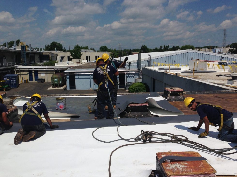 Dezigns Construction, Inc