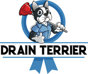 Drain Terrier