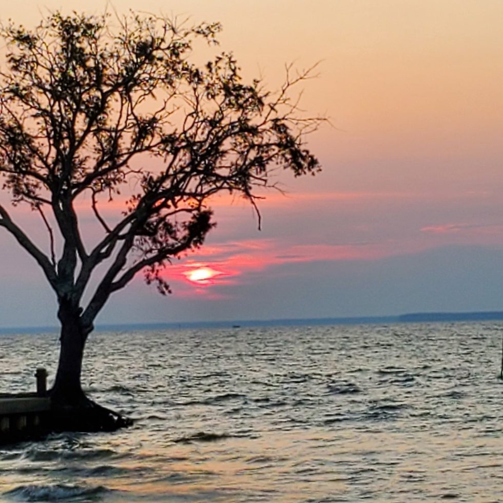 Bay Breeze Counseling