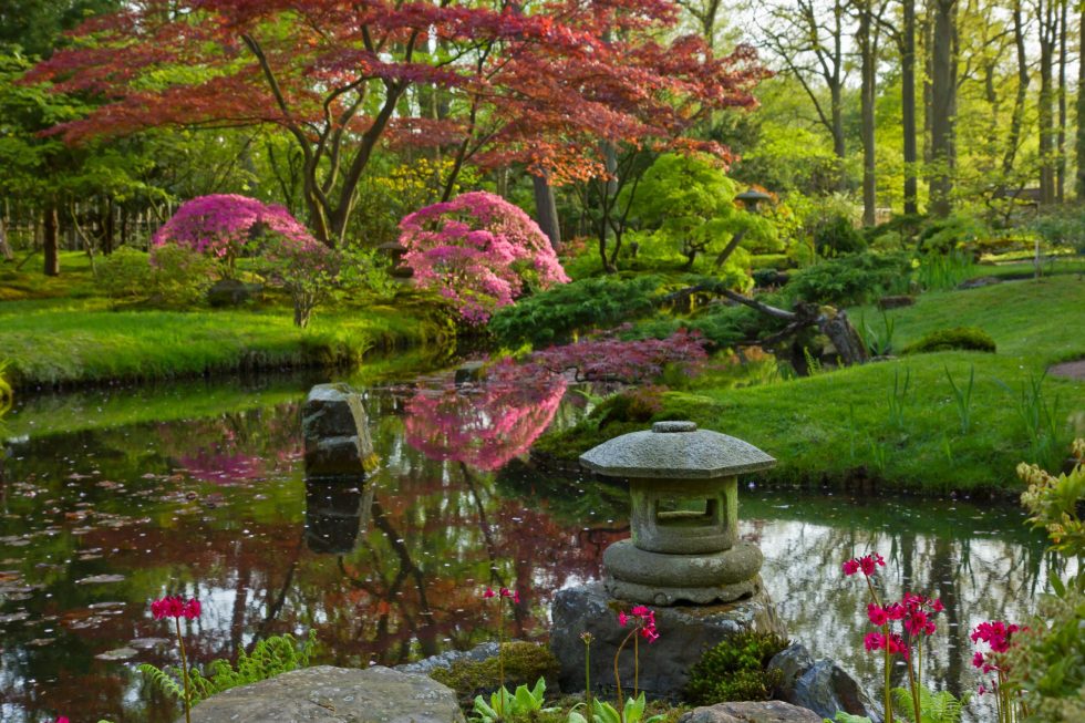 Lee’s Nursery and Landscaping