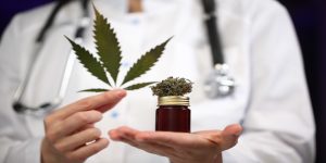 Kurators Dispensary