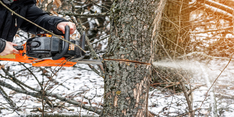 Tree Masters Inc
