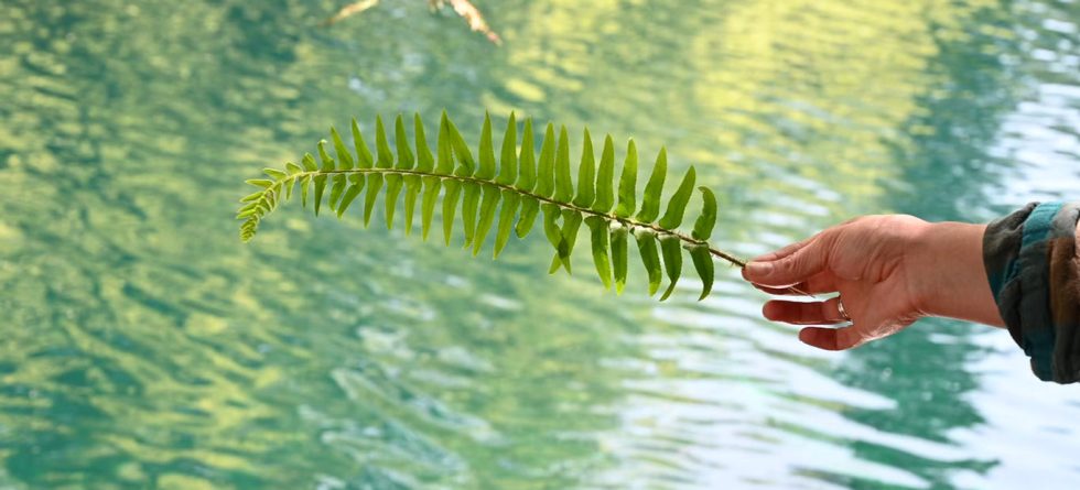 Health in Her Hands: Menopause and Weight Loss