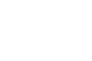 Bear Brothers Roofing