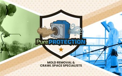 Pure Protection LLC