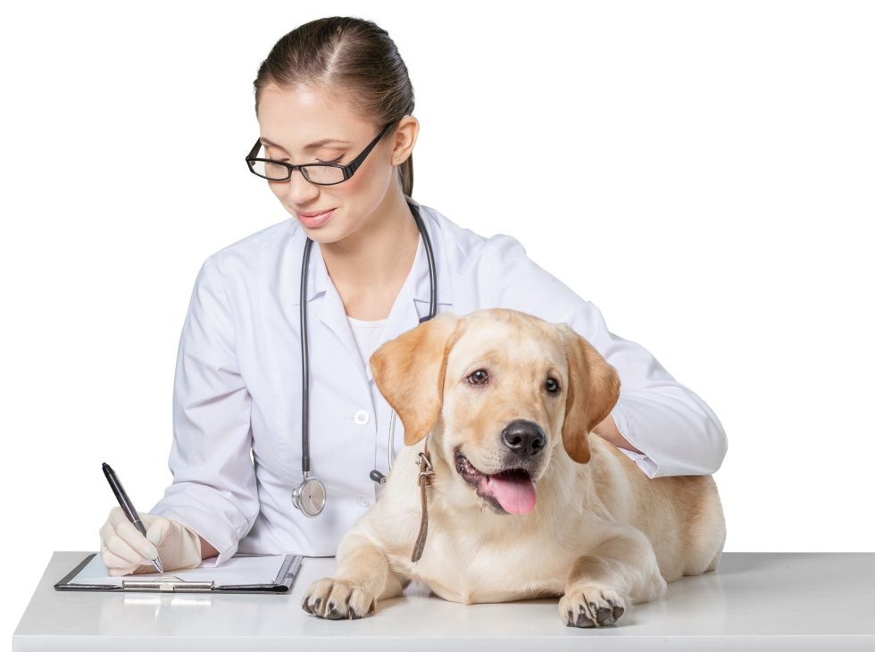 Sunset Lakes Animal Clinic