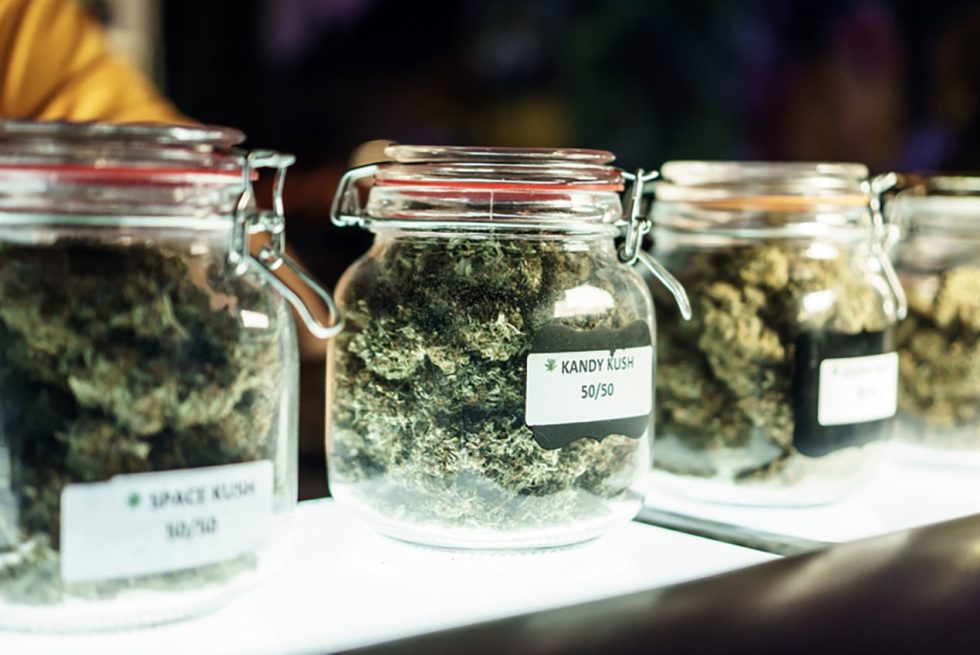 Vana Society Cannabis Dispensary