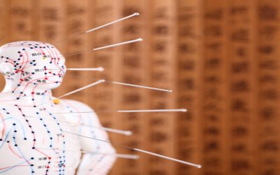 WholeSelf Acupuncture and Herbal Medicine