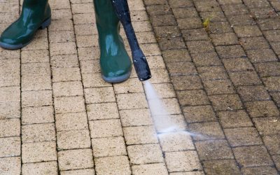 Sunnyside Spray