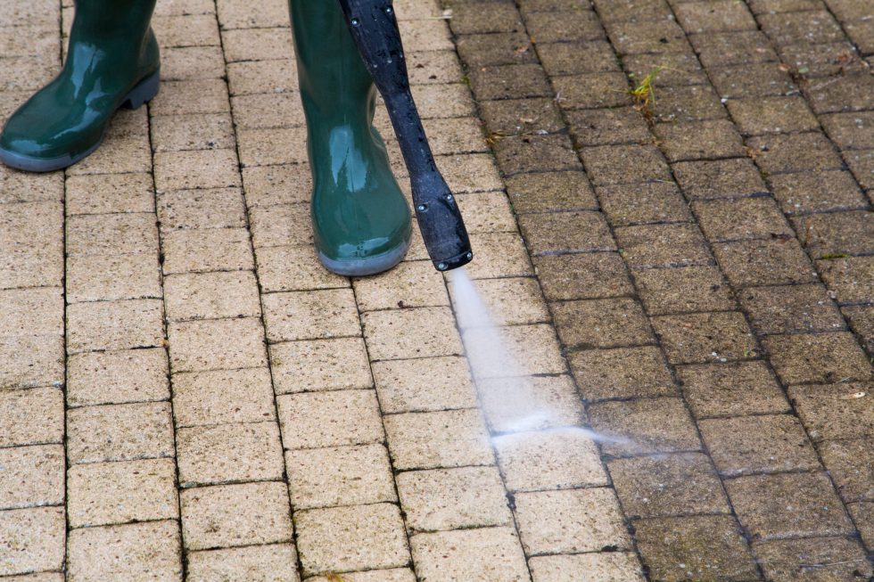 Sunnyside Spray
