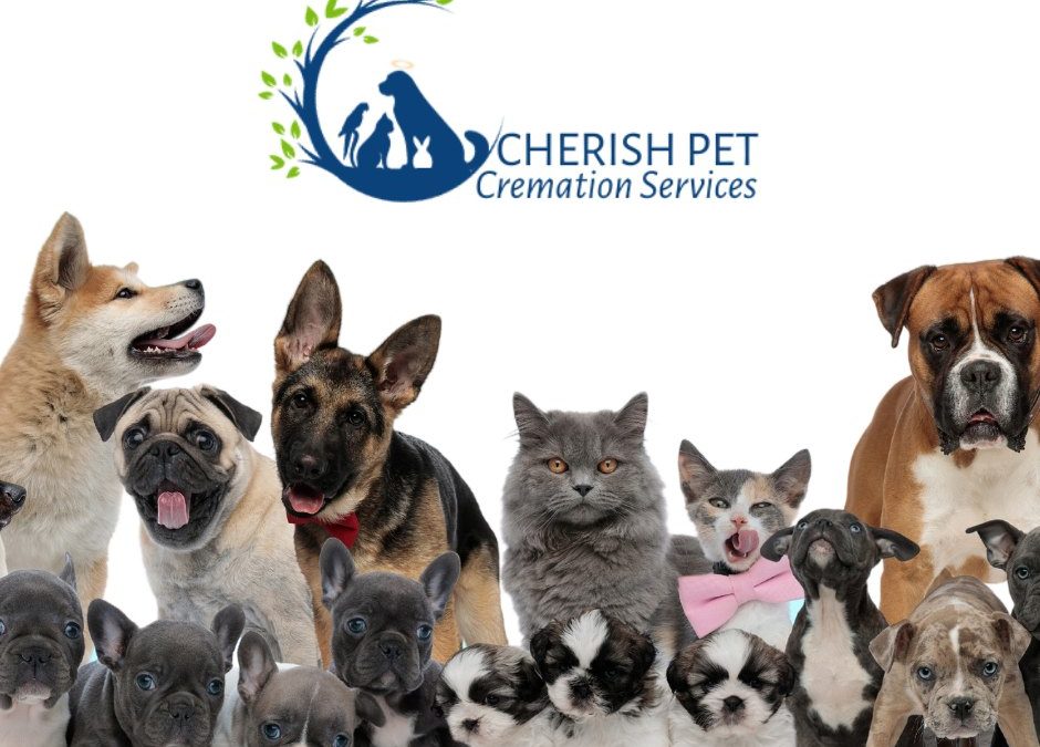 Cherish Pet Cremations