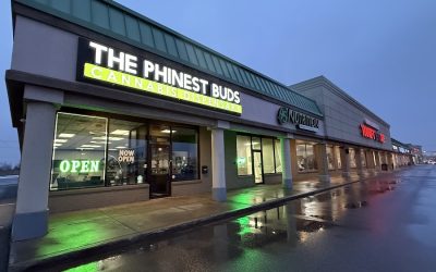 The Phinest Buds