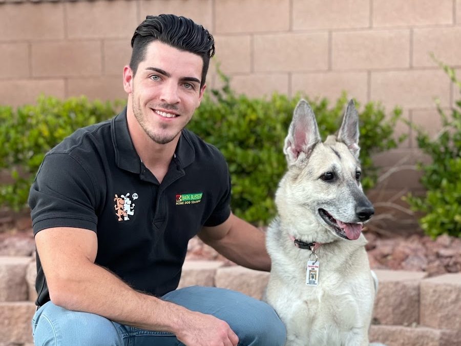 Bark Busters Home Dog Training Houston