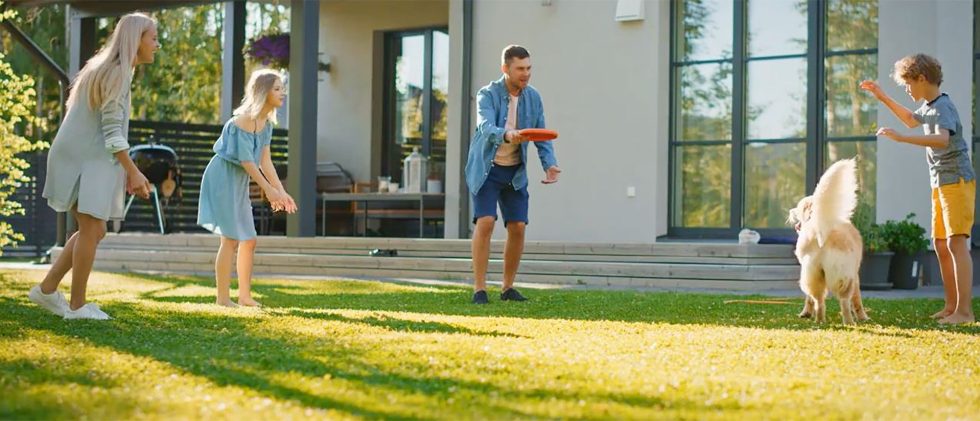 Poopless Yards