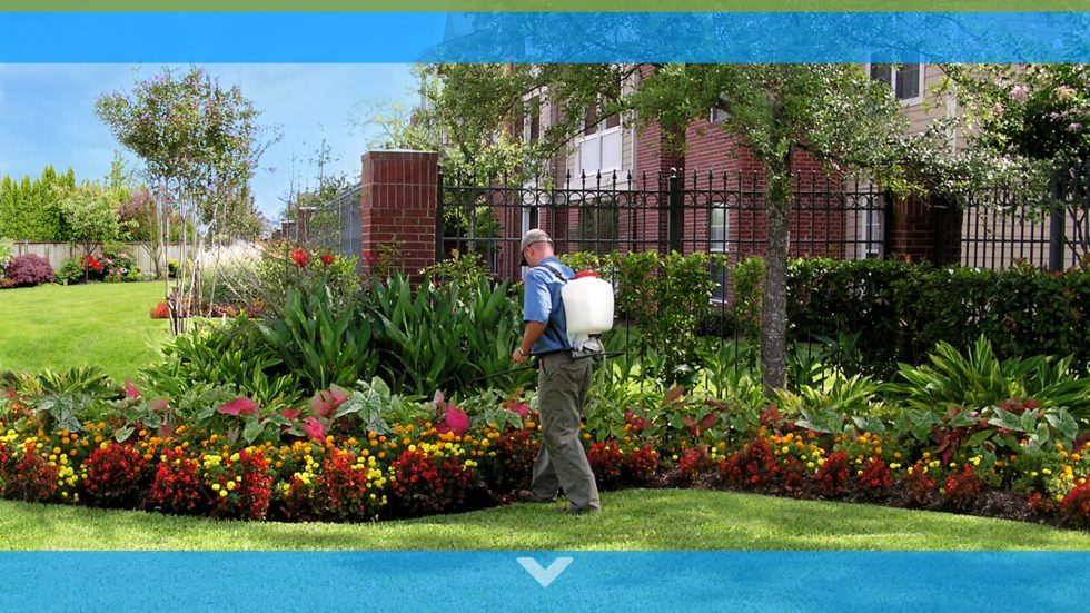 Sea Crest Facilities Services, LLC