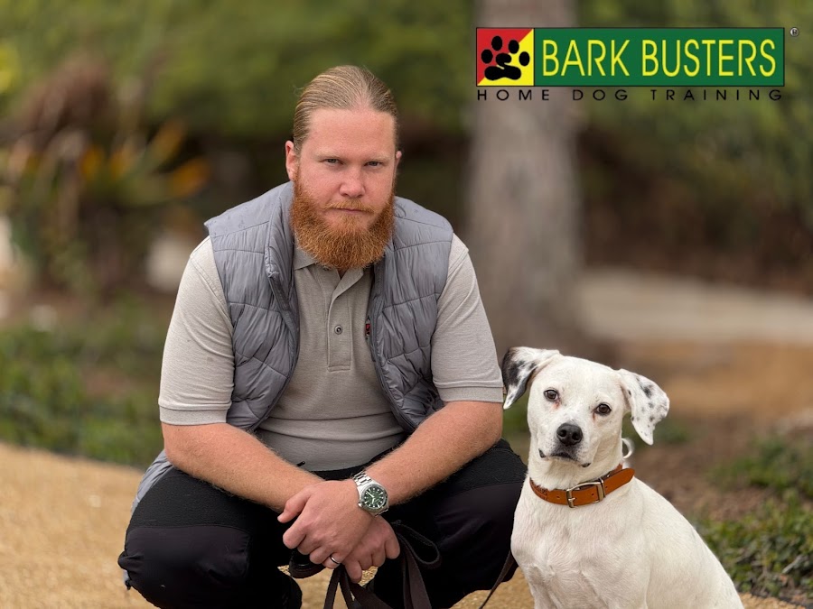 Bark Busters Home Dog Training Orange County South