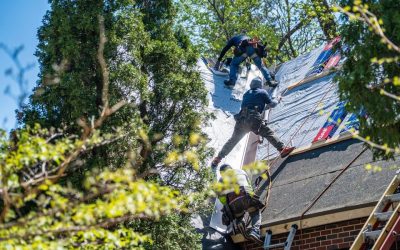 101 Roofing & Remodeling, LLC