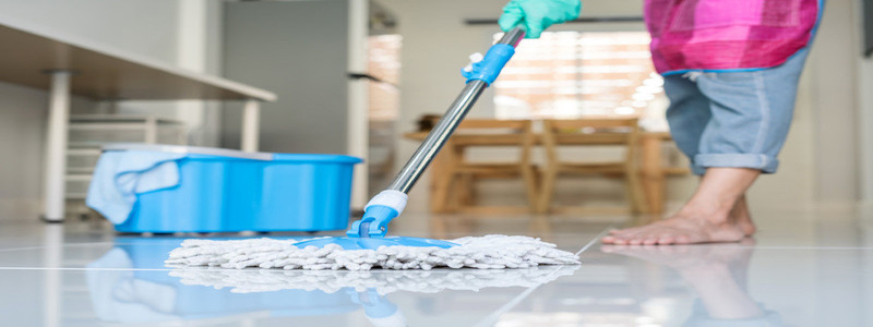 Best Day Housecleaning
